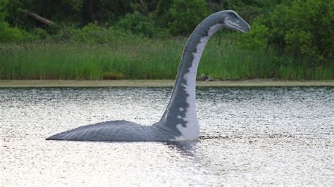 top 10 amazing lochness monster facts the loch ness monster was it killed youtube