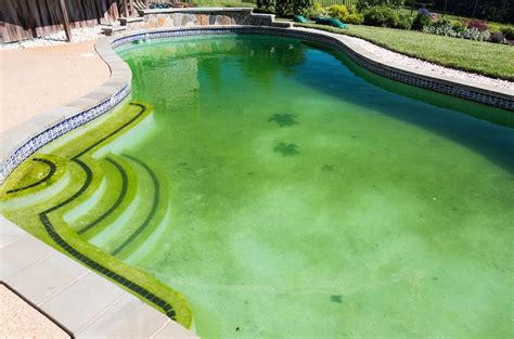 se debe el agua verde de la piscina consejos de mantenimiento