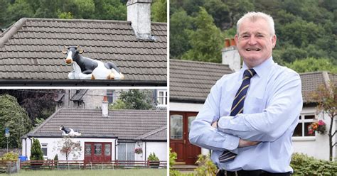 Man Finds Life Size Cow On His Roof After Getting Back From Holiday