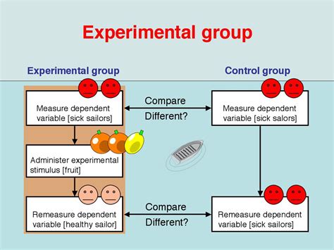 experimental variables  control group google search variables