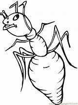 Getdrawings Ants Drawing sketch template