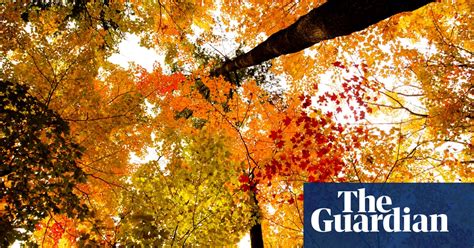 fall colors autumn foliage across north america in pictures