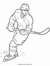 Coloring Blackhawks Hockey Clipart Pages Chicago Player Library Comments sketch template