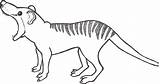 Thylacine Tiger Wolf Nor Neither Appropriate Why Which Name Most May sketch template