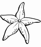 Starfish Coloring Star Sea Printable Drawing Colouring Template Sheets Flower Clipart Tracing Cool Animal Pa Getdrawings Getcolorings Advertisement Clipartpanda Coloringfolder sketch template