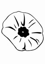 Poppy Coloring Large sketch template
