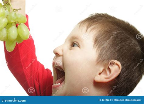 eat  stock images image