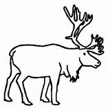 Caribou Coloring Clipartbest Toddlers Pages Top Designlooter Woodland Clipart sketch template