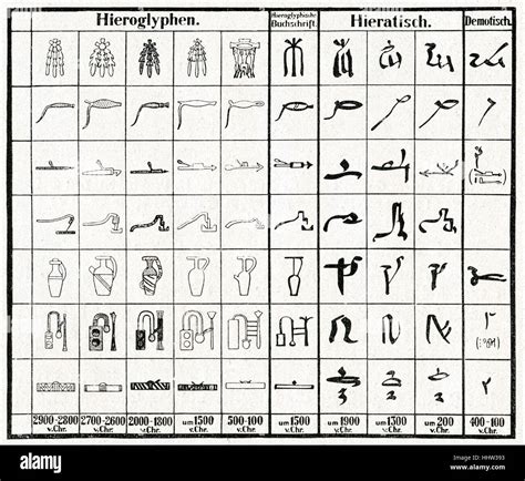 hieroglyphics ancient egypt  shows hieratic  demotic script stock photo alamy