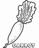 Coloring Carrot Pages Vegetable Vegetables Printable Topcoloringpages Print Kids sketch template