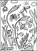 Colouring Minibeasts Sheet Resources Early Years sketch template
