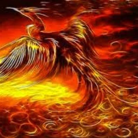Phoenix The Phoenix Is A Mythical Firebird From Ancient