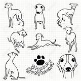 Greyhound Italian Dog Drawing Line Cute Grid Paper Use Set Easy Drawings Illustration Stock Getdrawings Tattoo 123rf Simple Sold sketch template