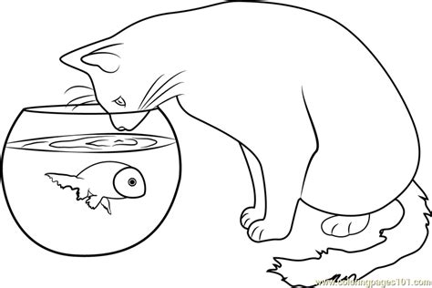 cat watching  fish coloring page  kids  cat printable