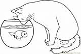 Cat Fish Coloring Watching Pages Coloringpages101 Printable Color Kids Cats sketch template