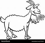 Coloring Goat Cartoon Farm Vector Book Royalty sketch template