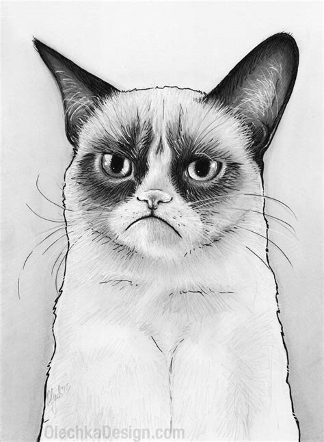 free cat drawing download free clip art free clip art on clipart library