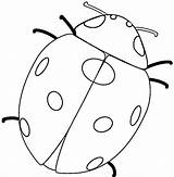 Colorat Buburuza Buburuze Desene Planse Animale Insecte P11 Desen Copii Plansa Printat Martisor Educative Primavara Primiiani Ladybug Trafic Salvat sketch template