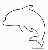 Silueta Siluetas Delfin Marinos Animalitos Rellenar Sombras Visitar Niños Delfines Conejo Conejos Apexwallpapers sketch template