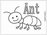 Insect Bug Ant Insects Grasshopper Easypeasyandfun Peasy Kindergarten Kidsworksheetfun sketch template