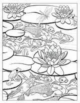 Coloring Pond Koi Pages Fish Waterfall Colouring Drawing Ponds Adult Printable Book Template Color Getdrawings Getcolorings Lotus Jinni Advanced Sketch sketch template