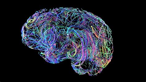 the brain undergoes a great “rewiring” after age 40 human design