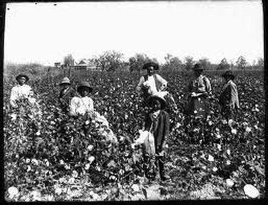 day  cotton plantations  days   slave south  america