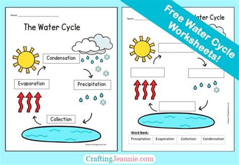 label  water cycle worksheet