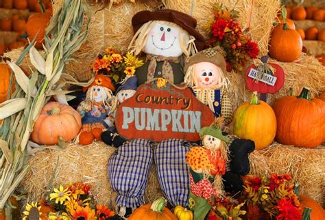 laeacco rural scarecrows pumpkins haystacks photography backdrops vinyl