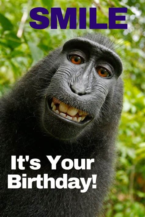 Funny Happy Birthday Memes Images To Share With Friends