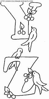 Alphabet Oiseaux Alfabeto Animali Colorat Abecedario Pajaros Pajaritos Desene Riscos Litere Paginas Gifgratis Alfabet Clique Prend Apercus Bordados sketch template