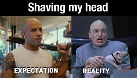 the best of expectations vs reality 37 pics