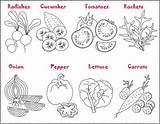 Vegetables Salad Coloring Salade Crafting Pages Puis Legumes Coloriez Spring sketch template