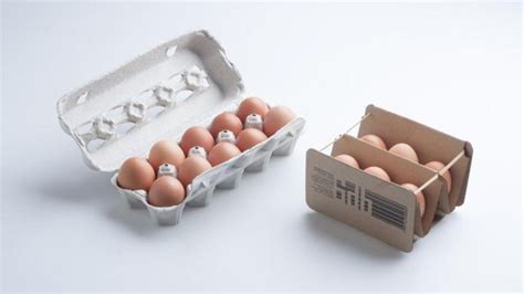 designer reinventa caixa de ovos   papelao  elastico bbc news