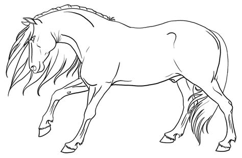 stallion lineart horse sketch horse drawings animal drawings