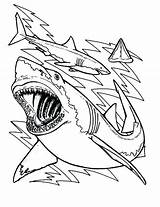 Pages Shark Coloring Kids Printable Getcolorings Whale sketch template