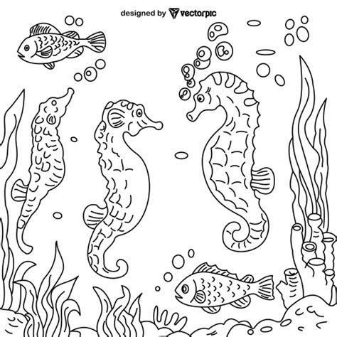 seahorses coloring page