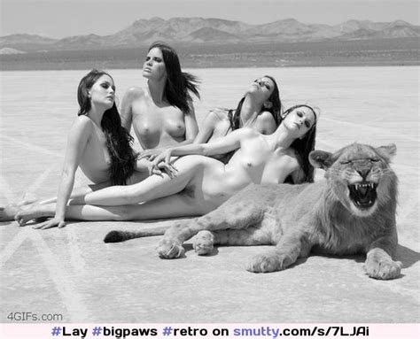 Bigpaws Retro Classic Nudes Naked Nude Sexy Ladies Girls Lion
