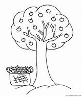 Coloring4free Apple Coloring Pages Tree Related Posts sketch template