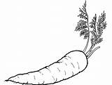 Carrot Coloring Pages Easy Kids sketch template