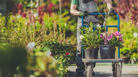How To Plan Your Garden To Create The Ideal Microclimate