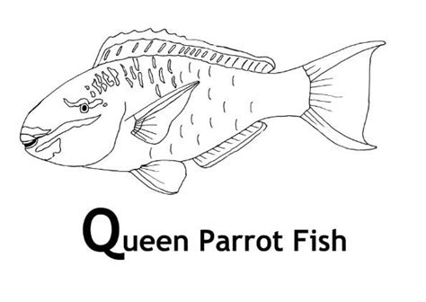 parrot fish colouring pages fish coloring page parrot fish cute