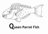 Fish Parrot Coloring Drawing Queen Coral Wild Reef Pages Kratts Colouring Hawaiian Tropical Printablecolouringpages Paintingvalley Reefs sketch template