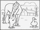 Mewarnai Kuda Gambar Farm Projects Coloring Pages sketch template