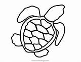 Coloring Sea Baby Turtle Sheet Xcolorings 1000px 53k Resolution Info Type  Size Printable sketch template
