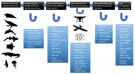 drones  full text operational protocols     drones  marine animal research