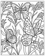 Papillons Insectes Détails Plusieurs Pleine Plein Justcolor Coloriages Beau Adultes Relaxant Plantes sketch template