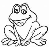 Coloring Pages Frogs Printable Library Clipart Animals Clip sketch template