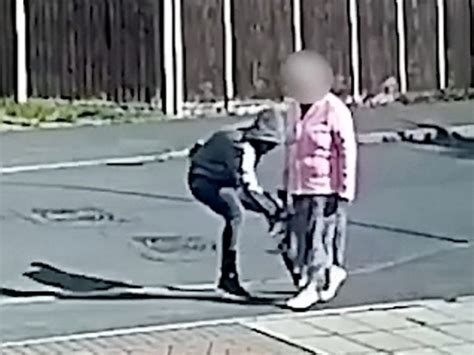 Police Hunt Thug Caught On Cctv Snatching A Handbag From An Elderly