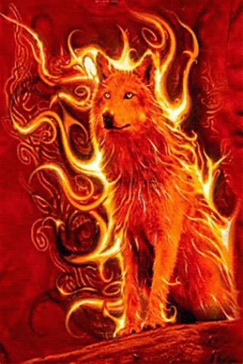 wolf  wallpaper gallery